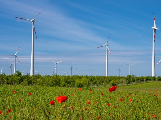 Rüzgar Gülü Enerji Sistemlerinde Dijital İkiz Teknolojisinin Kullanımı
