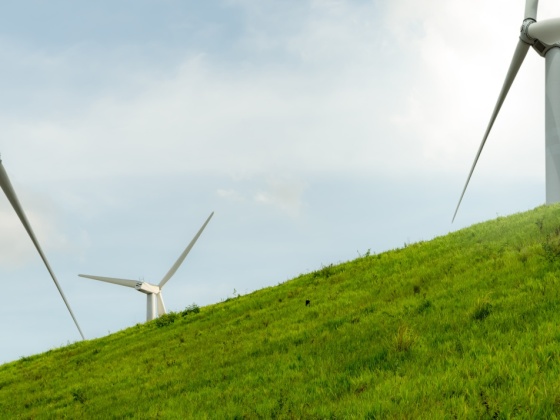 Rüzgar Gülü Enerji Sistemlerinde Gürültü Yönetimi